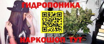 apvp Чапаевск