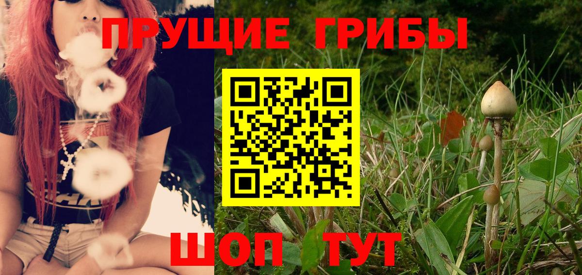 Самара  Псилоцибиновые грибы ЛСД  Вход с VPN 