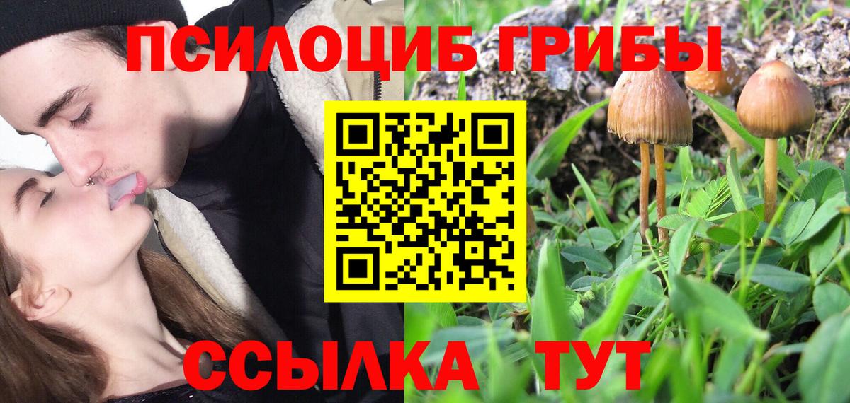 Псилоцибиновые грибы прущие грибы Самара